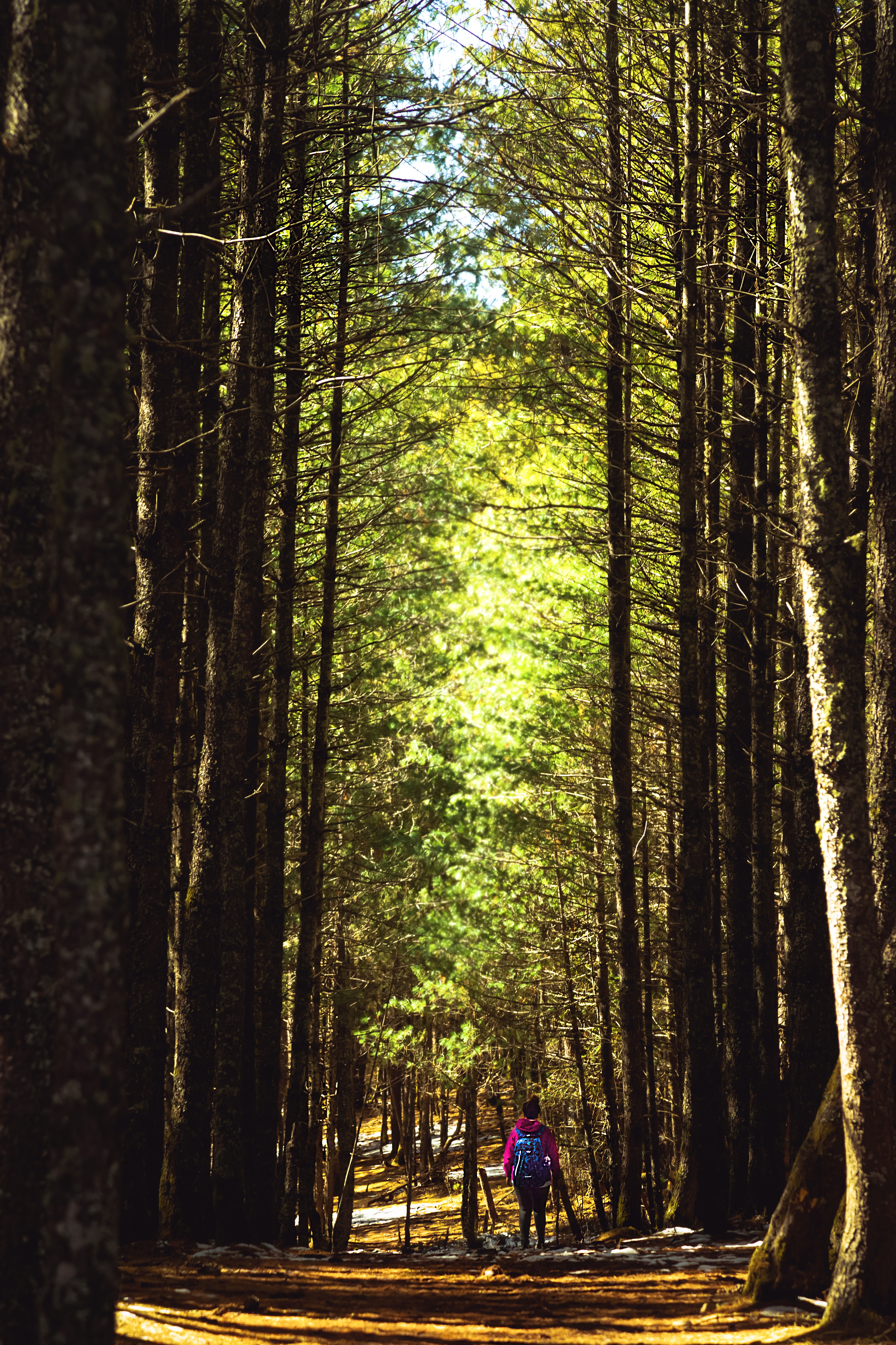 Getting Outside as a Mom